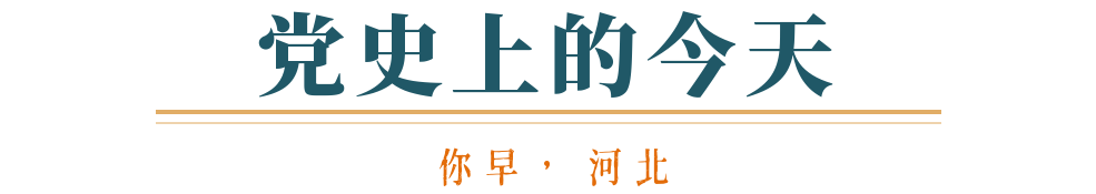 你早河北｜全球首次野化放飞青头潜鸭；全省天气有点“乱套”；解码特朗普“赢学”；高市早苗向马克龙施展“龟派气功”(图7)