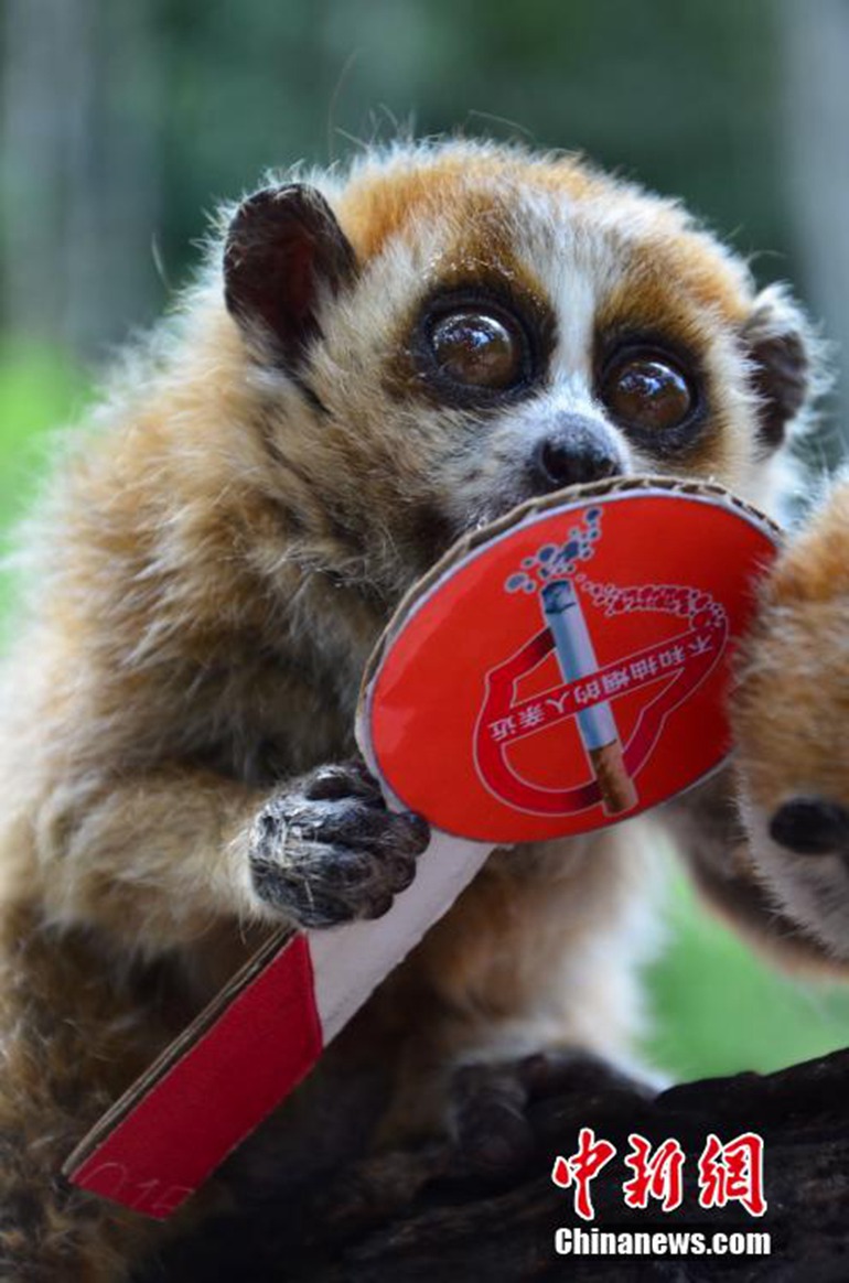 员工沉默、贪腐10亿、团队散伙：大疆汪滔戳破了中国企业的“人性幻觉”(图1)