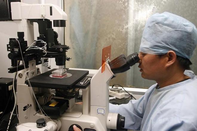 可能复活的七大灭绝动物剑齿虎猛犸象在列最快2025年重返世界(图5)