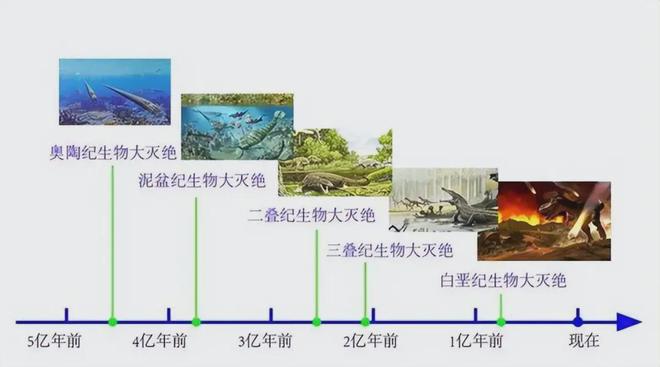 地球第六次生物大灭绝来了？WWF：野生动物50年灾难性减少73%(图6)
