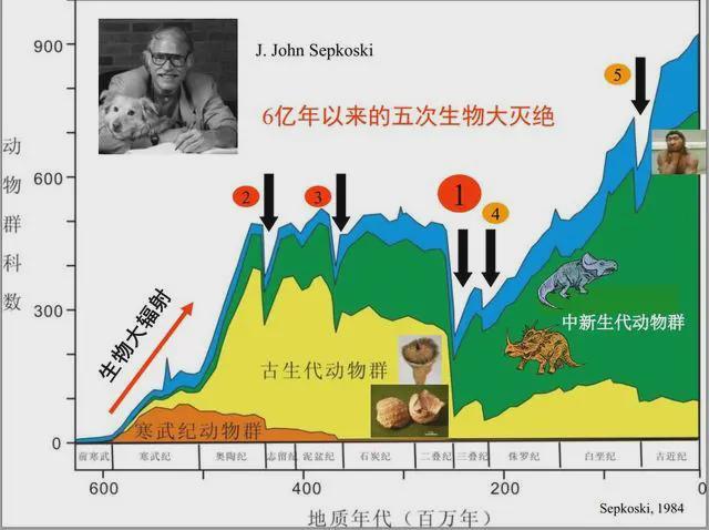 地球第六次生物大灭绝来了？WWF：野生动物50年灾难性减少73%(图5)
