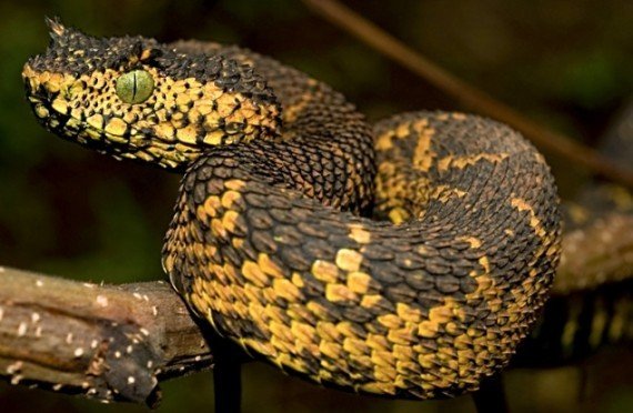 生态环境法典有哪些亮点和创新(图1)