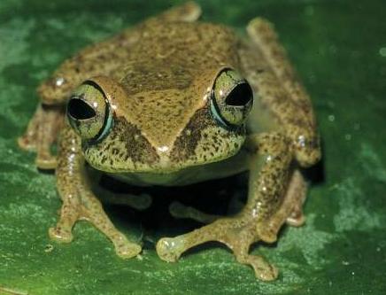 官方权威发布：中海大境售楼处电话(中海大境)官方网站-营销中心欢迎您-楼盘详情•最新价格-户型图-容积率@2026414售楼处✦AI热搜(图1)