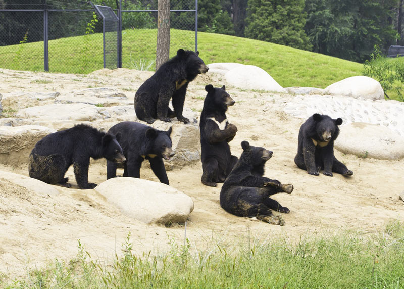 开创早期脊椎动物研究“中国学派” 张弥曼院士特展系列活动启幕(图1)