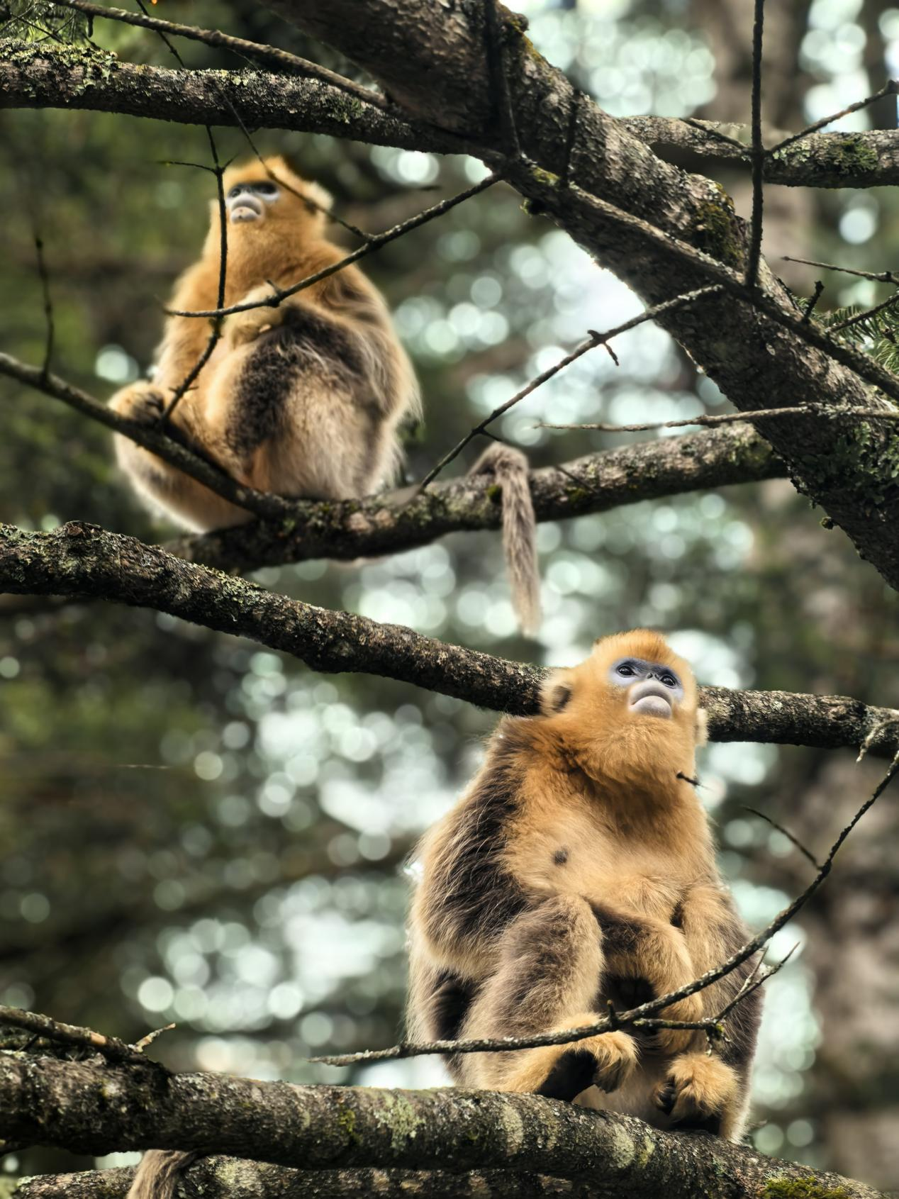 湖北省“人与自然和谐共生”见闻录(图7)