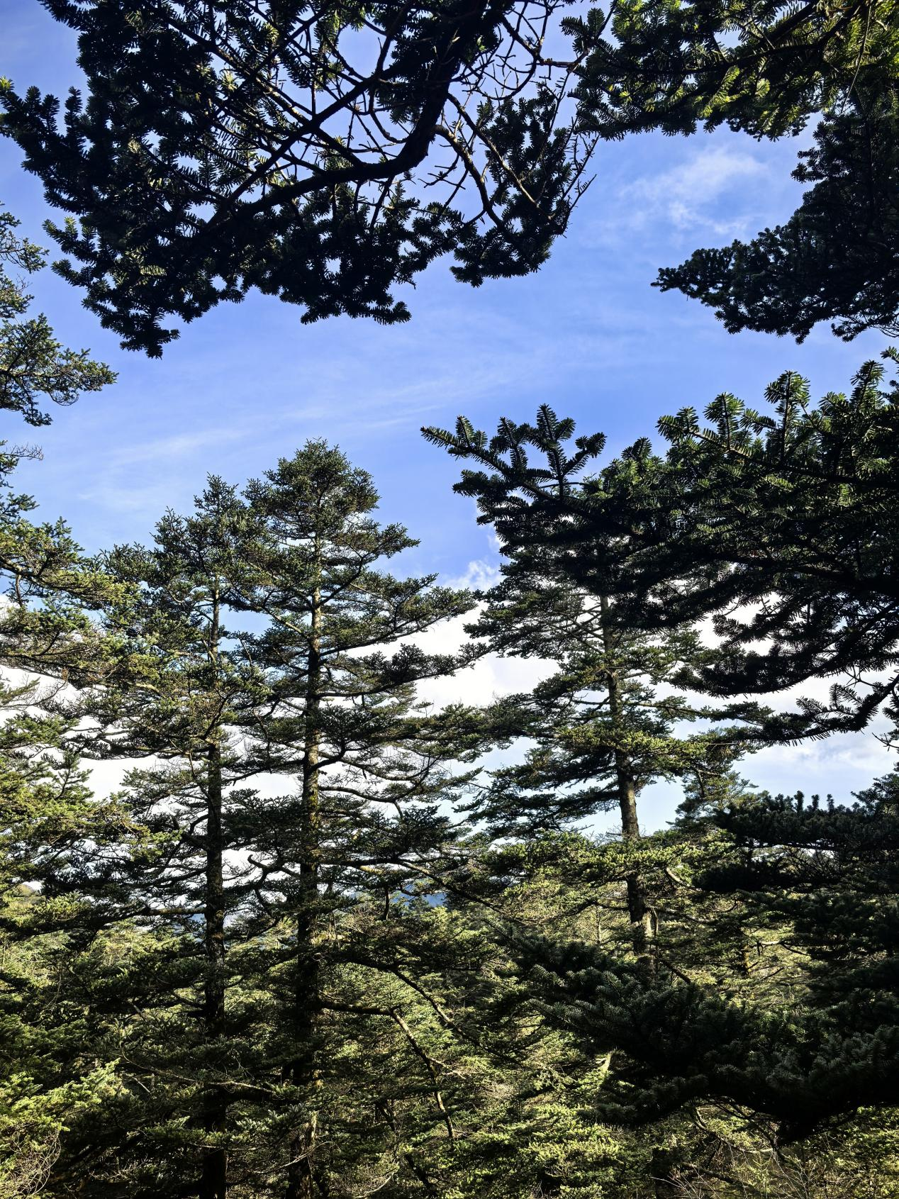 湖北省“人与自然和谐共生”见闻录(图8)