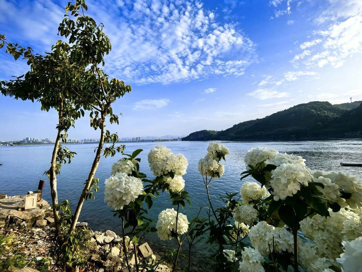 湖北省“人与自然和谐共生”见闻录(图9)