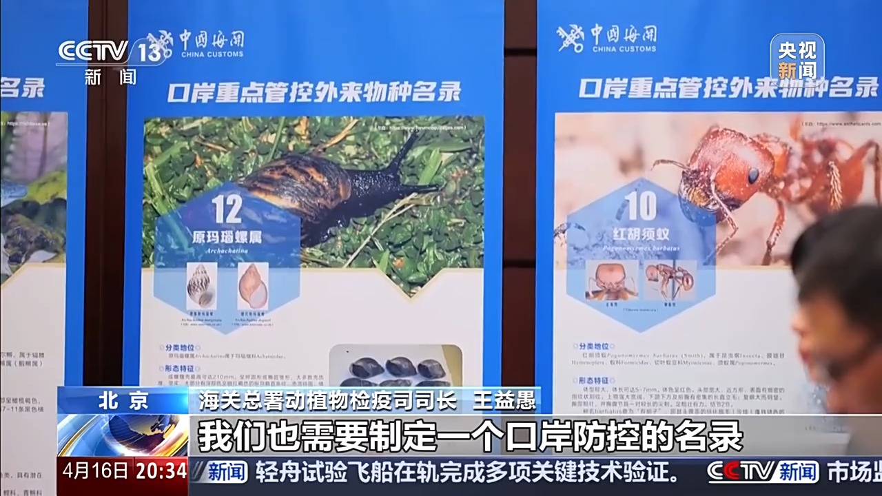 六部门联合发布管控名录 外来物种为何暗藏风险？(图3)