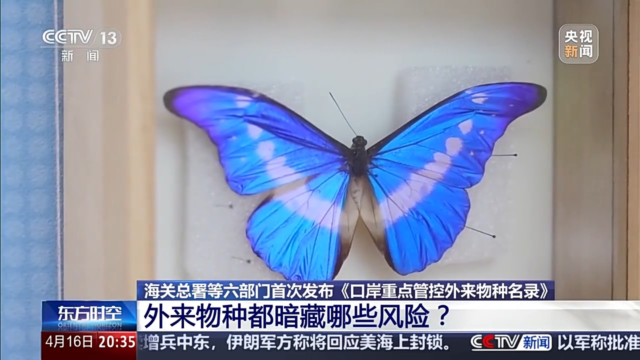 六部门联合发布管控名录 外来物种为何暗藏风险？(图5)