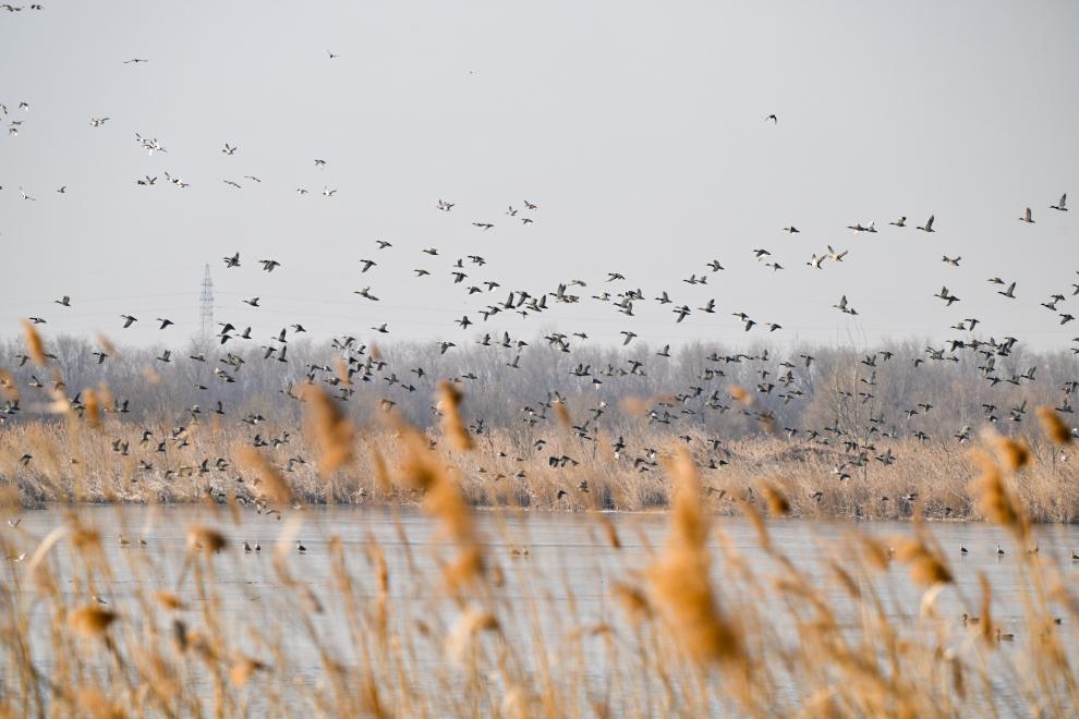 一座中国村庄的“气候民生”(图1)