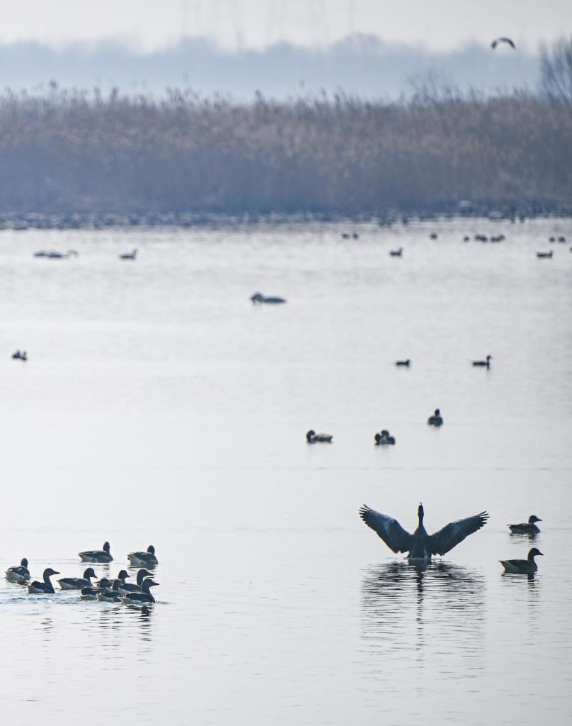 一座中国村庄的“气候民生”(图2)