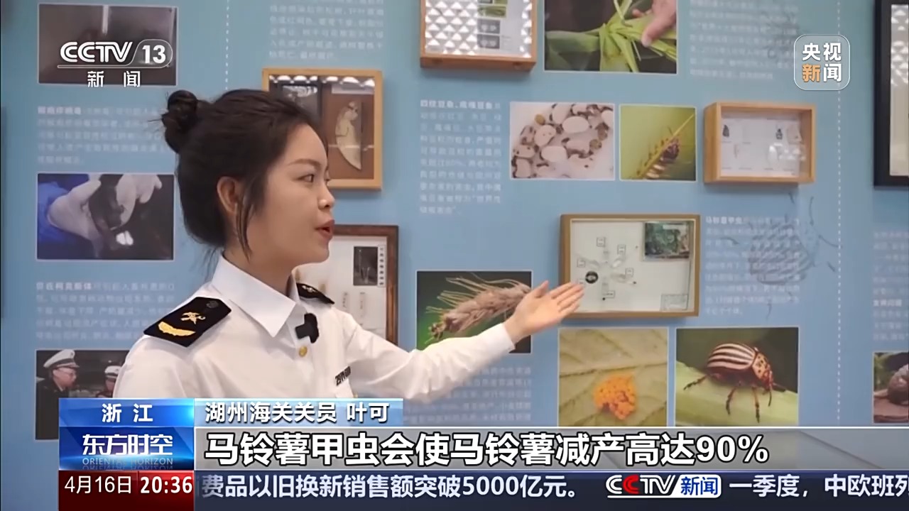 六部门联合发布管控名录 外来物种为何暗藏风险？(图8)