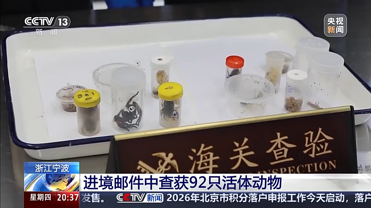 六部门联合发布管控名录 外来物种为何暗藏风险？(图10)