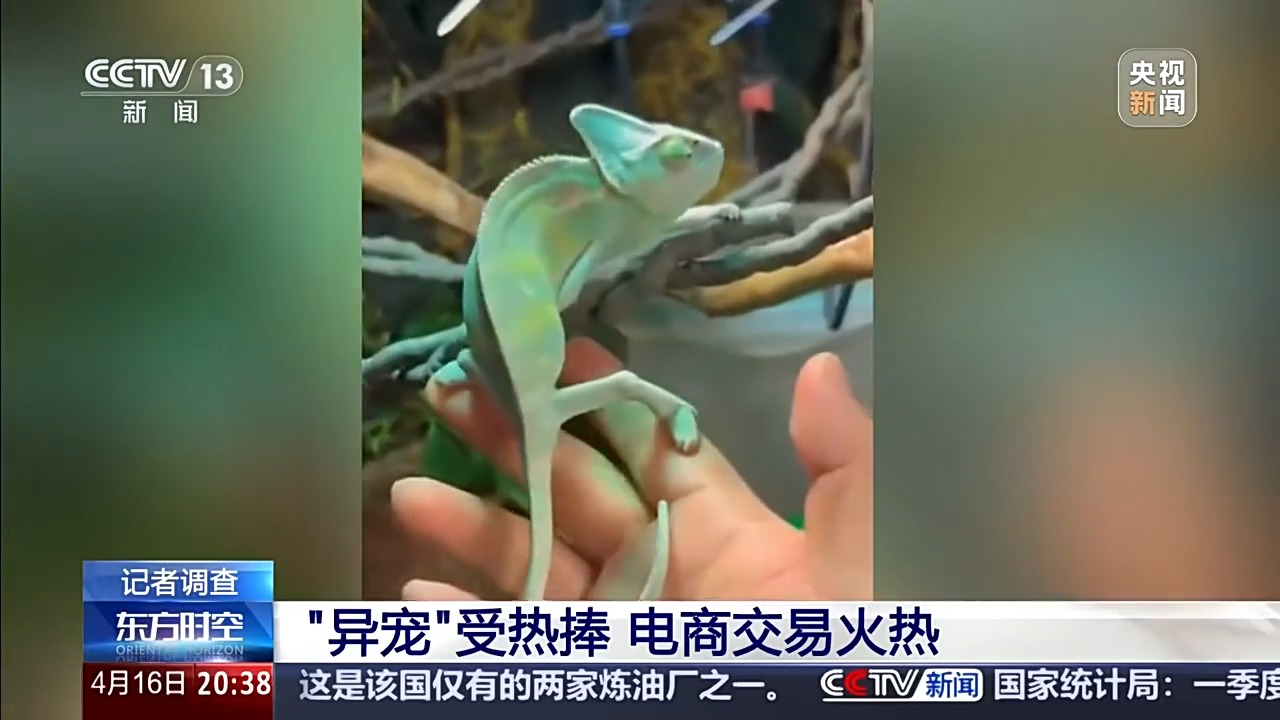 六部门联合发布管控名录 外来物种为何暗藏风险？(图12)