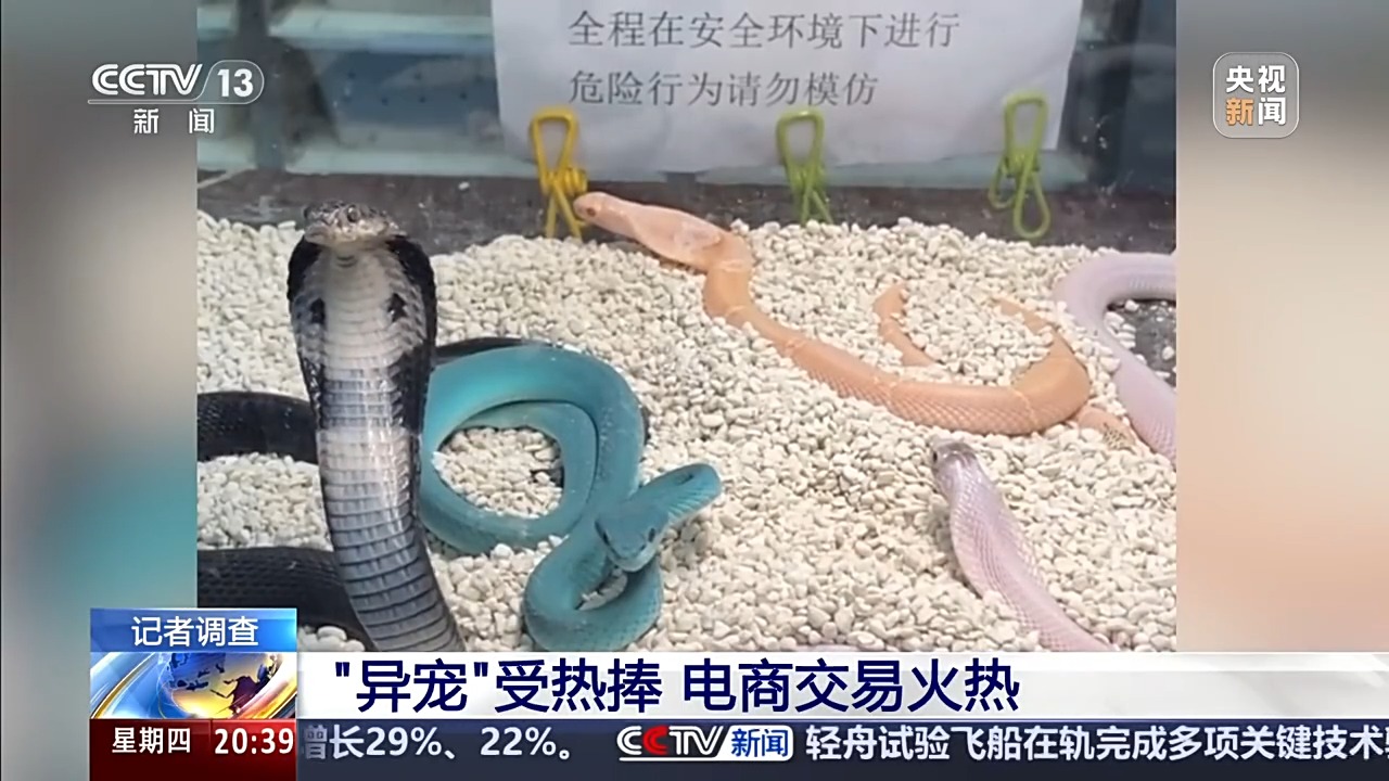 六部门联合发布管控名录 外来物种为何暗藏风险？(图14)