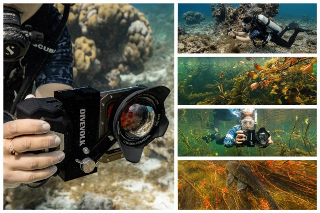 世界地球日：DIVEVOLK 以智能手机水下摄影推动海洋保护让每一位潜水员成为海洋守护者(图6)
