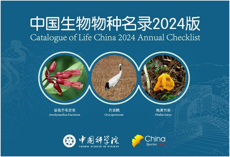 新增6423个物种！《中国生物物种名录2024版》发布