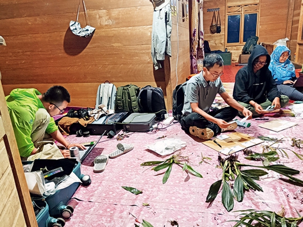 为野生兰花织密保护网(图2)