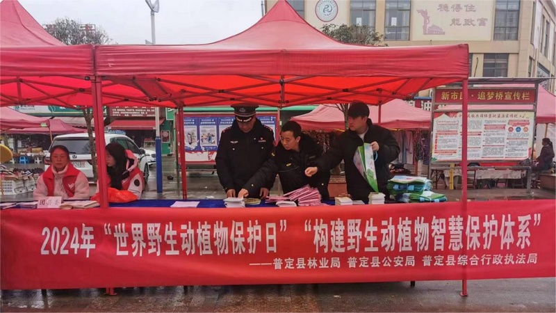 视频丨夜幕下野生动物在忙啥？红外相机精准捕捉(图1)