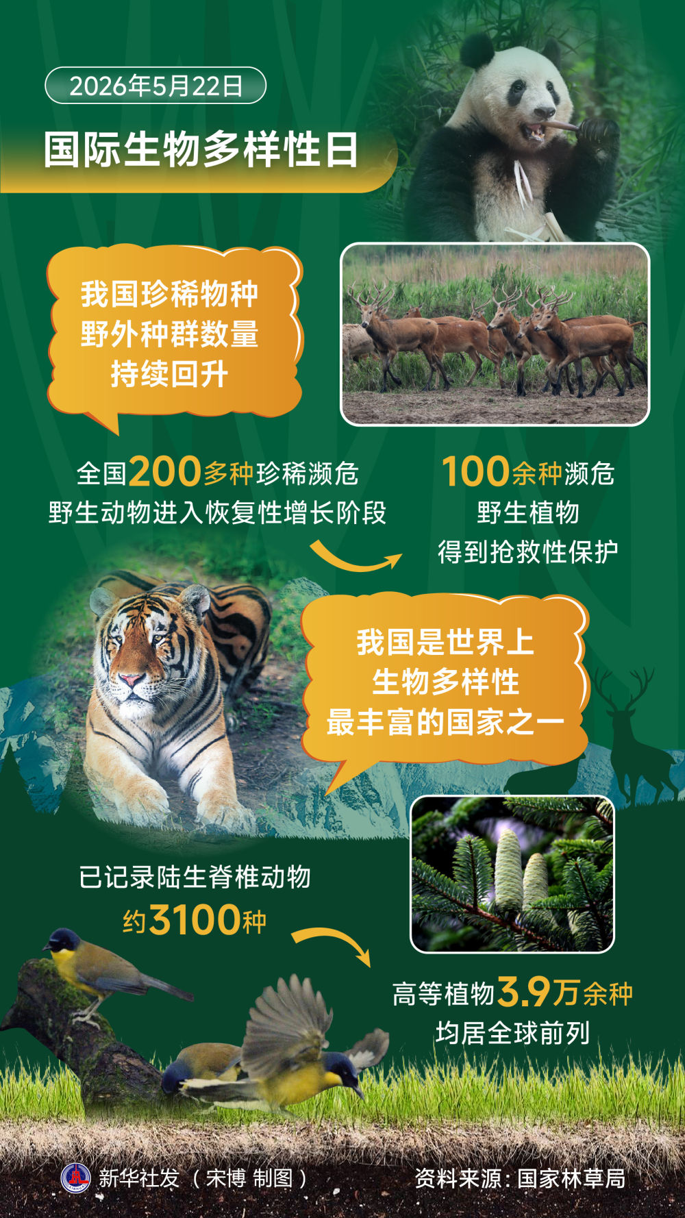 习近平生态文明思想引领生物多样性保护事业开创新局面(图4)