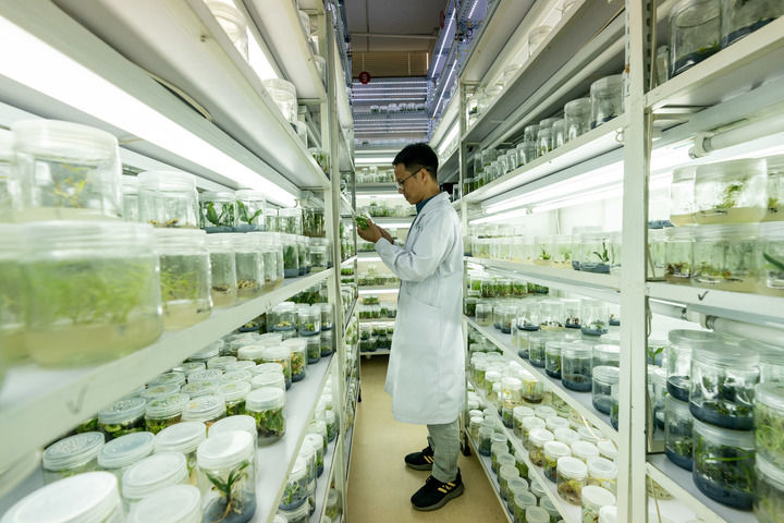 习近平生态文明思想引领生物多样性保护事业开创新局面(图11)