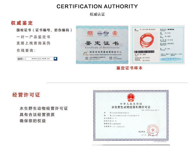 怀孕江豚选定葛洲坝江段做“产房”他们在江边守护“微笑天使”诞生(图1)