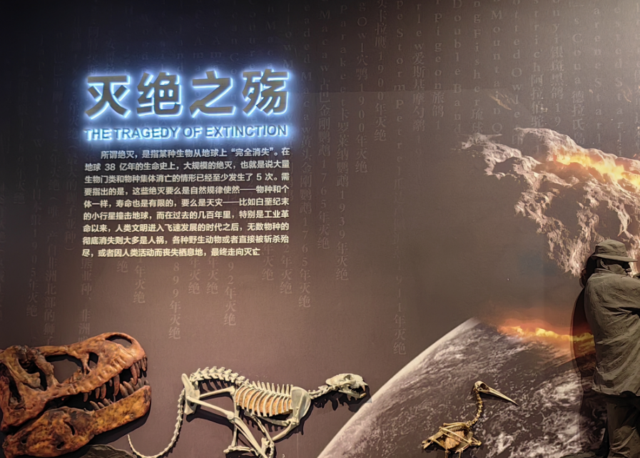 新研究：这些因素让动物更易因气候变化灭绝(图1)