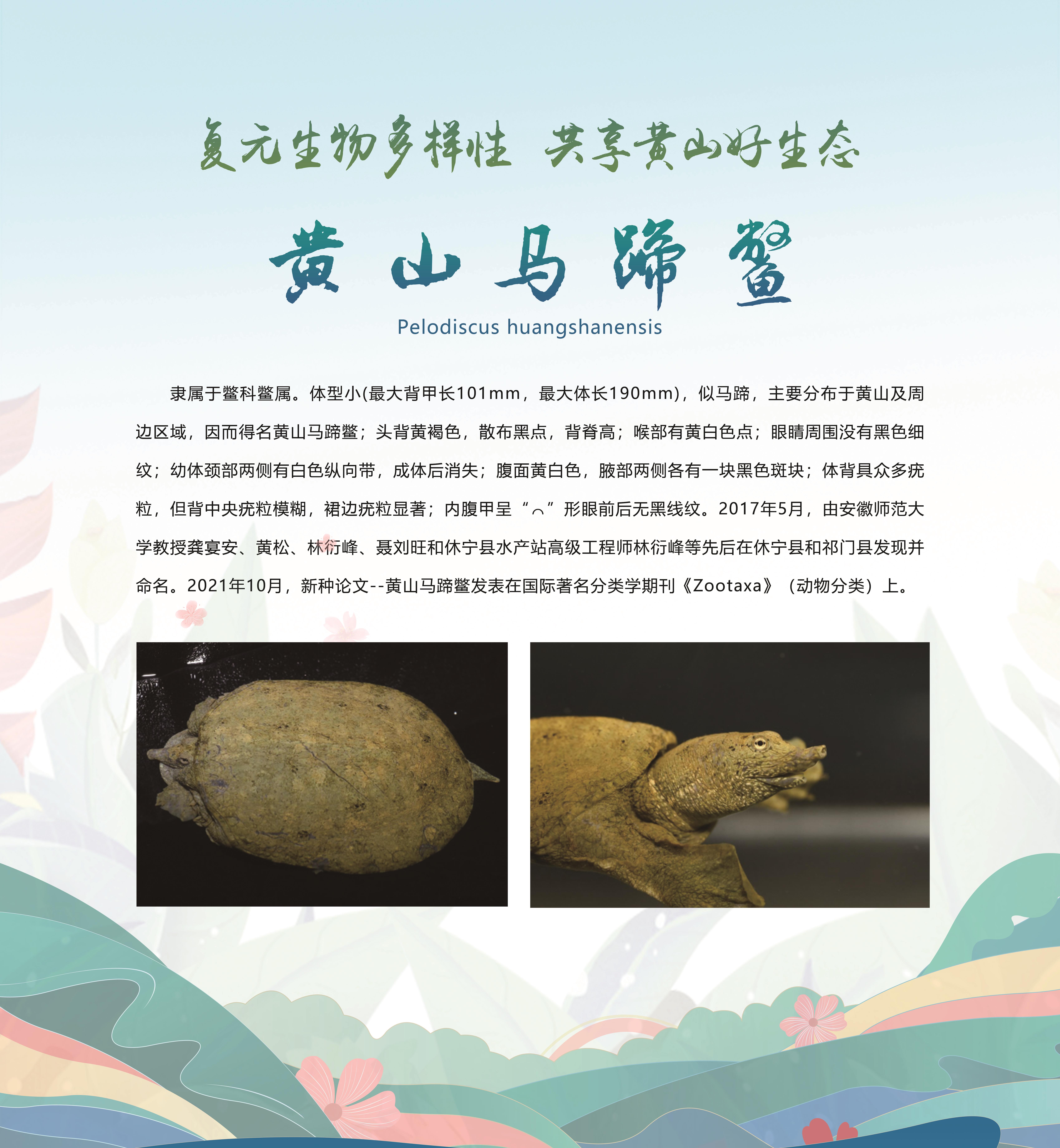 广西九万山发现两种全球新物种(图1)