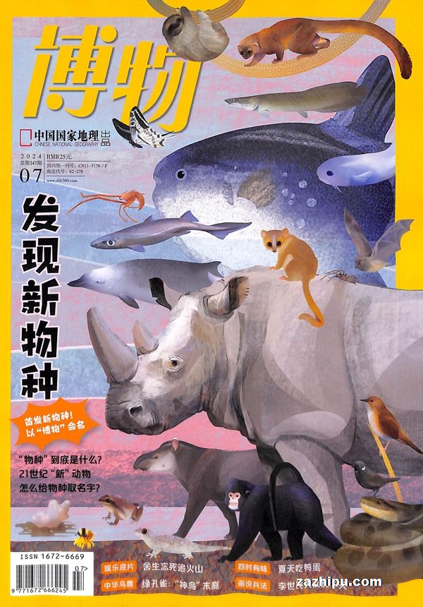 全球候鸟迁徙的“关键驿站”——乌梁素海(图1)