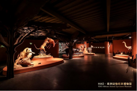 非洲动物标本博物馆在京正式开馆再添文旅打卡新地标(图1)