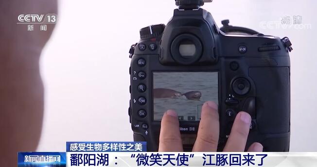 中国特有珍稀动物排行榜资料要点