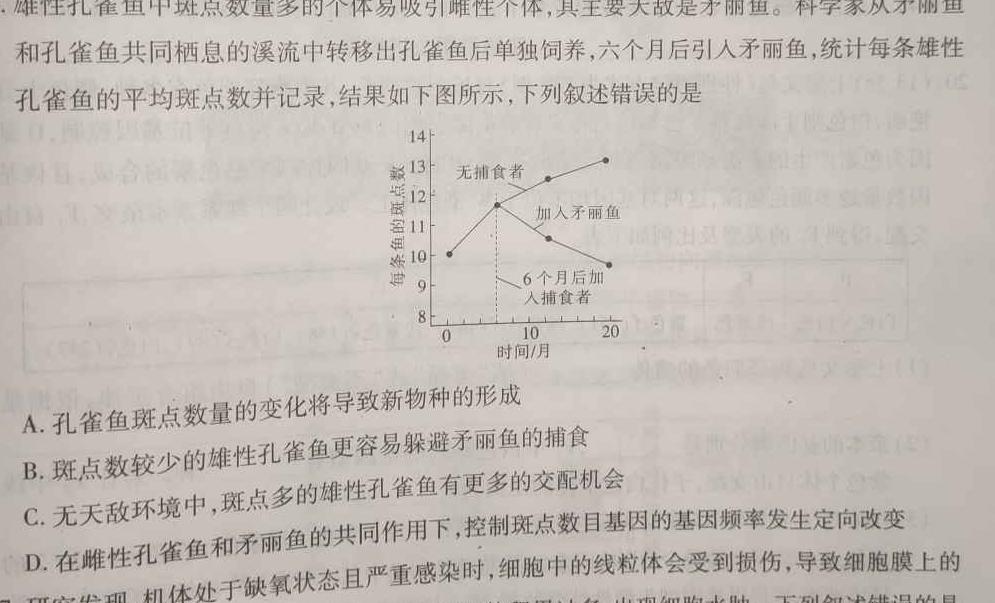 海战新物种诞生！076四川舰电弹阻拦配齐中国远海战力再无软肋(图1)