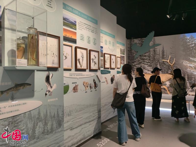 国家自然博物馆2026“博物馆之夜”启幕聚焦青藏高原生态保护(图4)