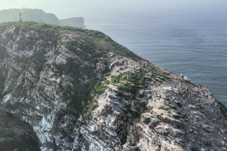 探访中国新晋世遗长山群岛候鸟栖息地(图3)