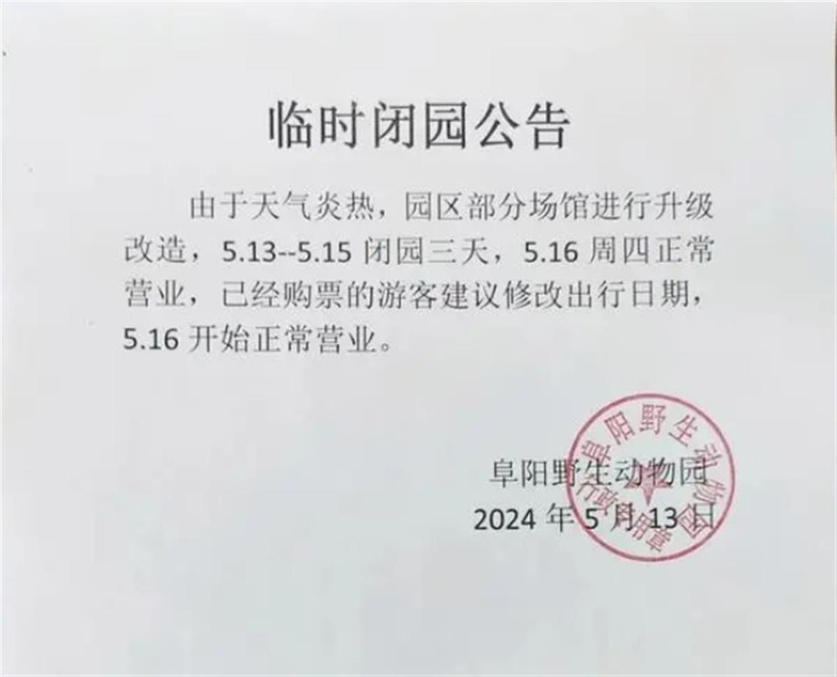 2024年野生动物作文(图1)