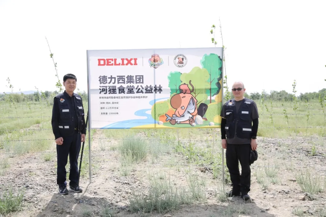 阿勒泰雄鹰羽翼的风吹到德力西“小候鸟”课间(图2)