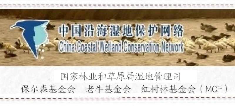 鲎成为国家二级保护动物(图2)
