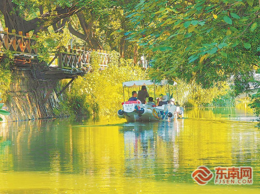 种下的不仅是树更是扎根本土的气韵(图3)