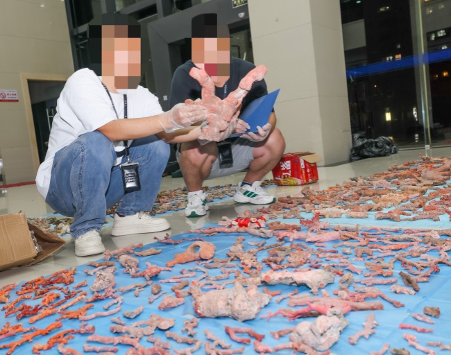 谁在非法采捕“深海灵物”红珊瑚(图1)