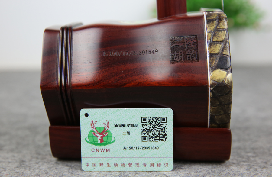 第四届中国野生动物摄影大展在玉树启幕(图1)