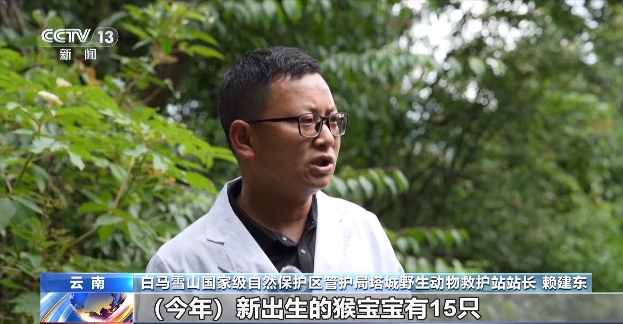 多地珍稀动物添新生命种群持续恢复(图1)
