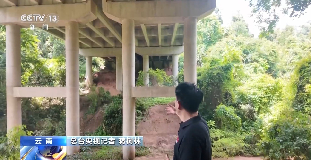 多地珍稀动物添新生命种群持续恢复(图4)