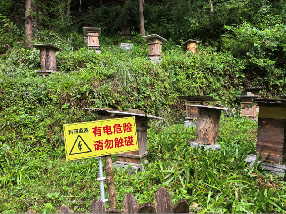 C114实地探访：从AI守护江豚到人熊冲突智慧预警科技守护自然的湖北样本(图4)
