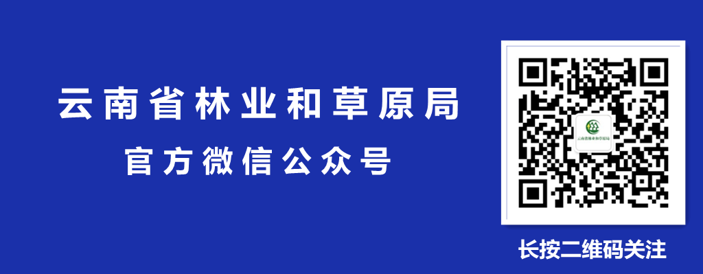 云南省召开2024年度野生动植物保护工作联席会议(图3)
