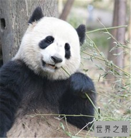 新闻中心_前沿的新闻资讯_3DM游戏网(图1)