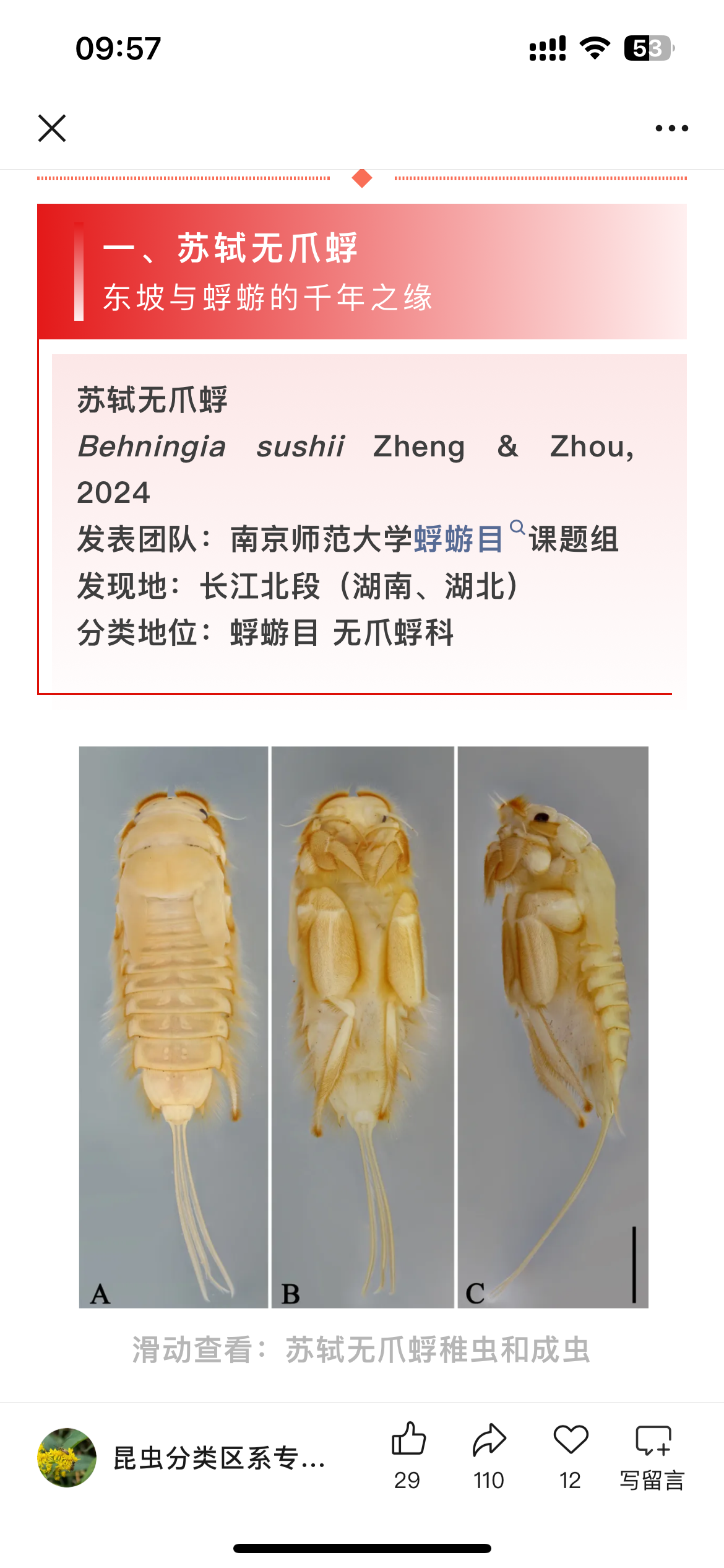 广东丹霞山再添3个新物种