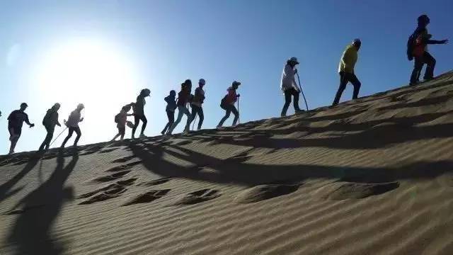 盒子江豚升级计划终于“落地有声”；保护森林迫在眉睫(图3)