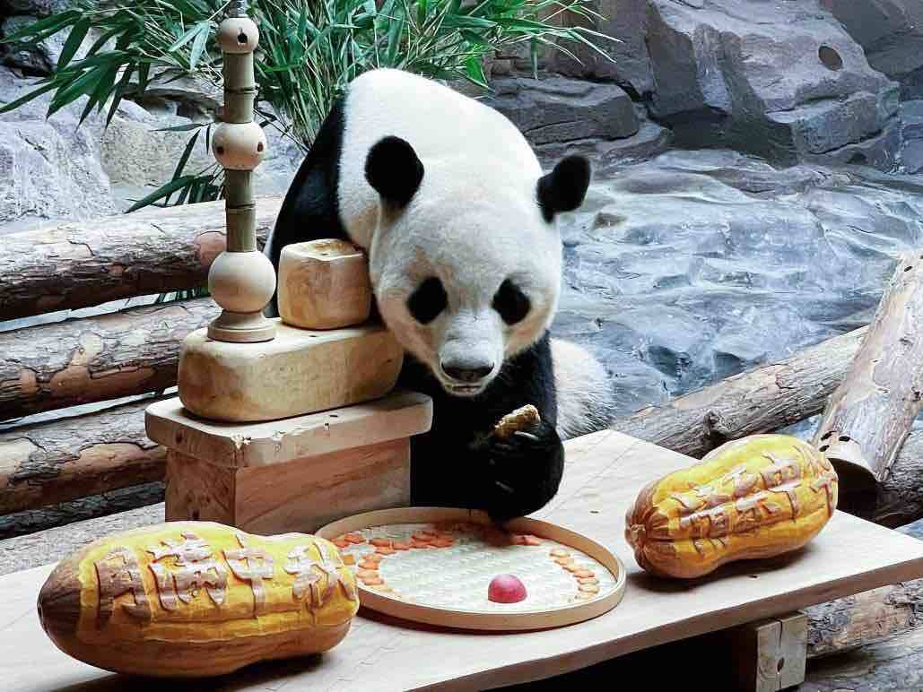 济野中秋动物团圆！济南野生动物世界中秋丰容欢乐上线(图1)