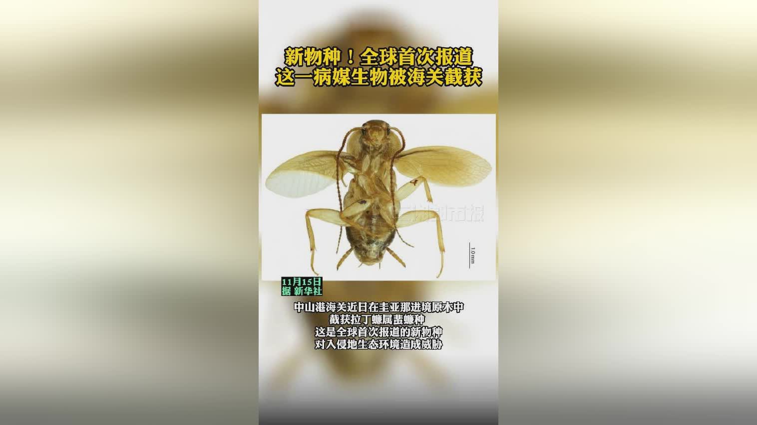 发现新物种！就在福建厦大这位校友厉害了(图1)